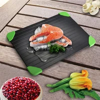 

Defrosting Tray Frozen Food Thawing Plate For Fast Quick Rapid Meat Defrosting