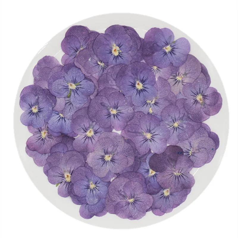 

N073 2021 New Arrival Hot Selling Diy Material 100% Natural Dried Purple Pansy Pressed Flowers Pressed Pansy Dried Flowers