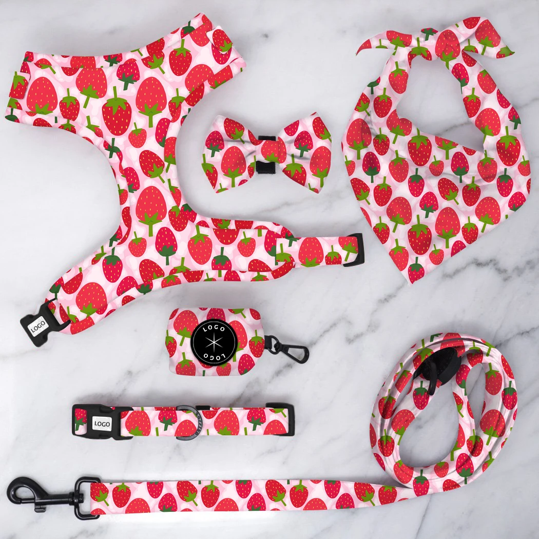 

Personalized Dog Harness and Leash Customized Pattern Adjustable Breathable Harness with Leash Collar Set Neoprene Dog Harness, Custom color