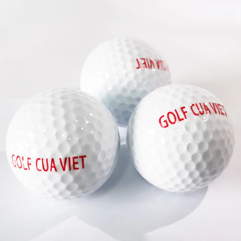 2 Layer Custom Logo Bulk Cheap Golf Practice Ball White Blank Golf