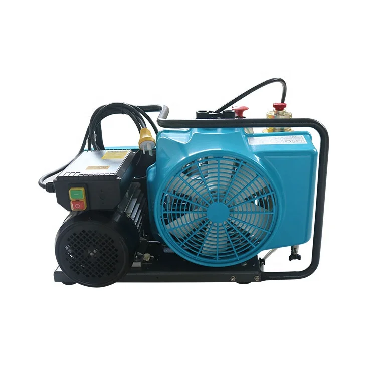 
Cheap High Pressure 100 L air Compressor for breathing apparatus 