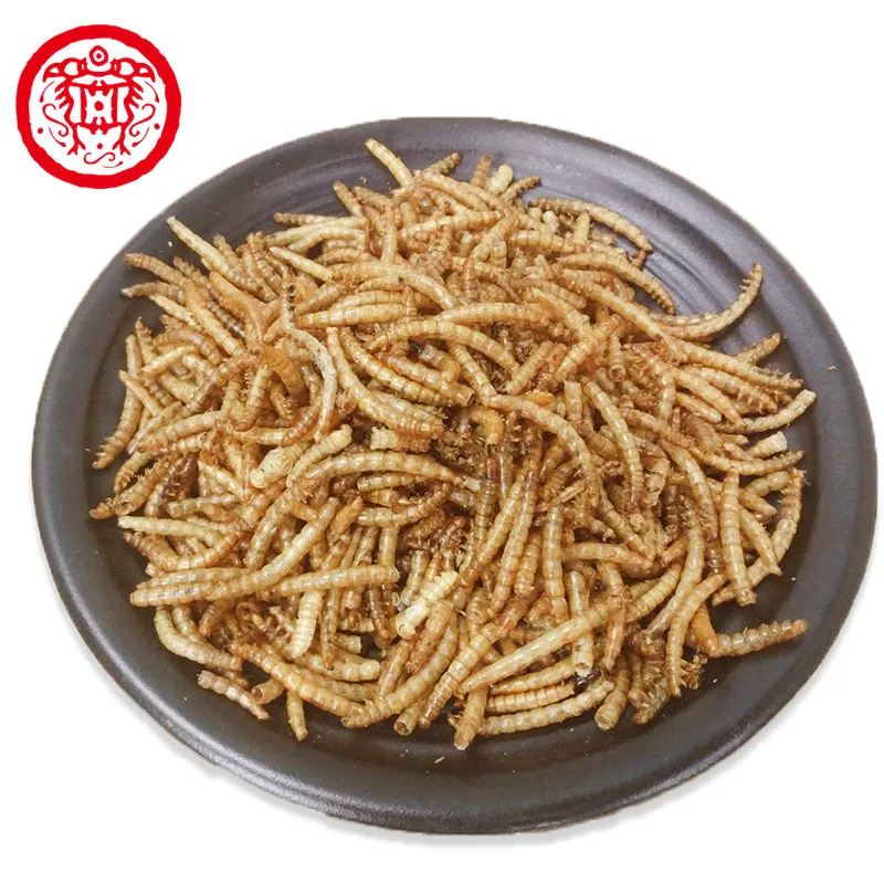 
Dried mealworms for poultry and livestock bird food pets food bird meal pets meal 
