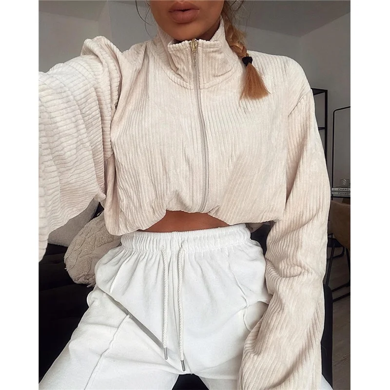 

Fall new fabric thick hoodie and jogger set causal two piece set women winter wear clothes, Customized colors