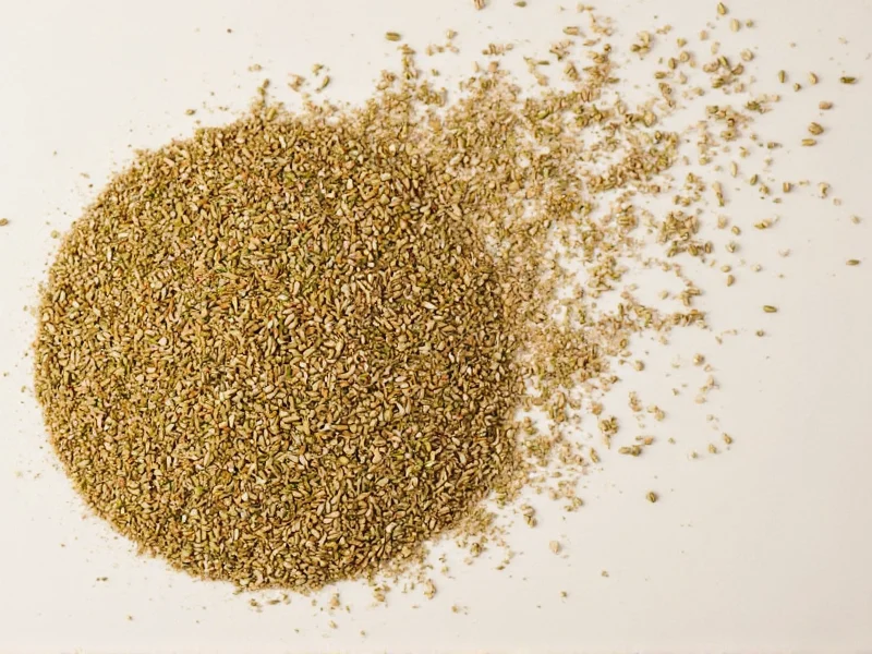 Best Coriander Seeds Replacement Options for Any Recipe