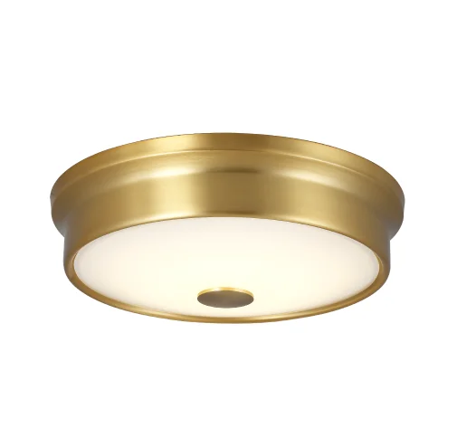 Modern Equipment In China Factory Convenient Mini Kitchen Ceiling Light