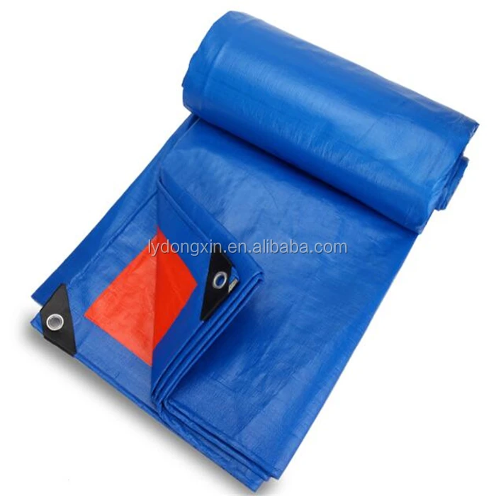 DX blue orange370.jpg