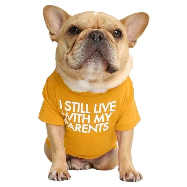 

Wholesale Factory Direct Sale Pure Color Small Summer Pet Clothes Security Custom Print Logo Dog T Shirts