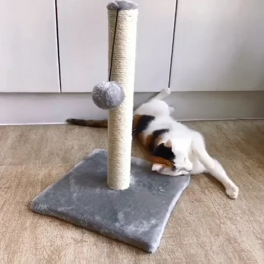 Amazon Hot Sale Sisal Stubble Cactus Cat Scratcher Toy Cat Climbing Frame Tree
