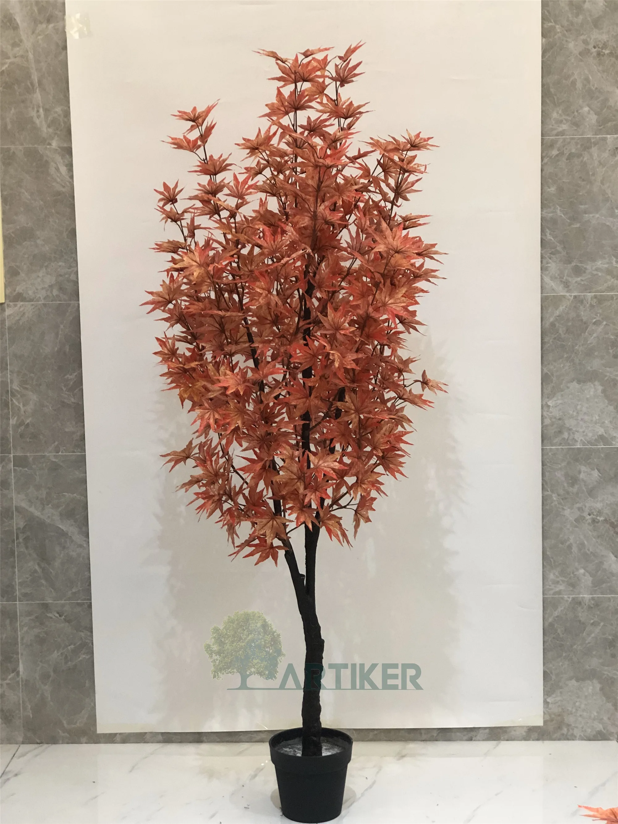 Venta Al Por Mayor De Interior Decoración Pohon Rojo Japonés Arce Bush