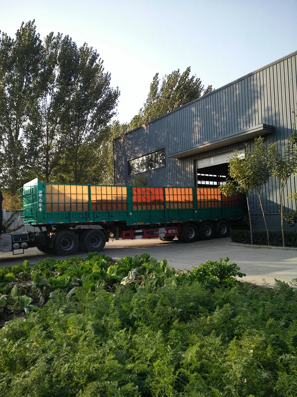 
hooked end glued steel fiber 