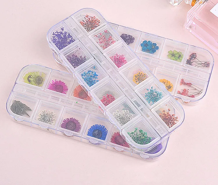 qt0188 dry flower (1)