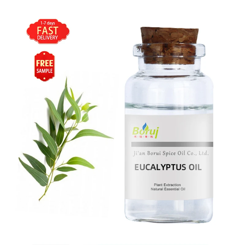 

OEM Private Label Therapeutic Grade Organic Eucalyptus Oil 100% Pure Essential Oils Eucalyptus