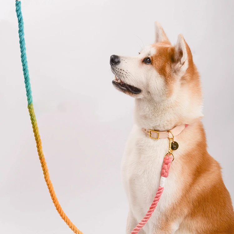 

OEM Luxury Beauty Fashion Macaron Colors Cotton Traction Rope Dog Leash