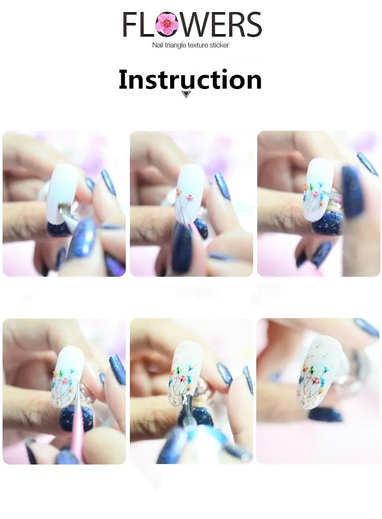 qt0188 dry flower (8)