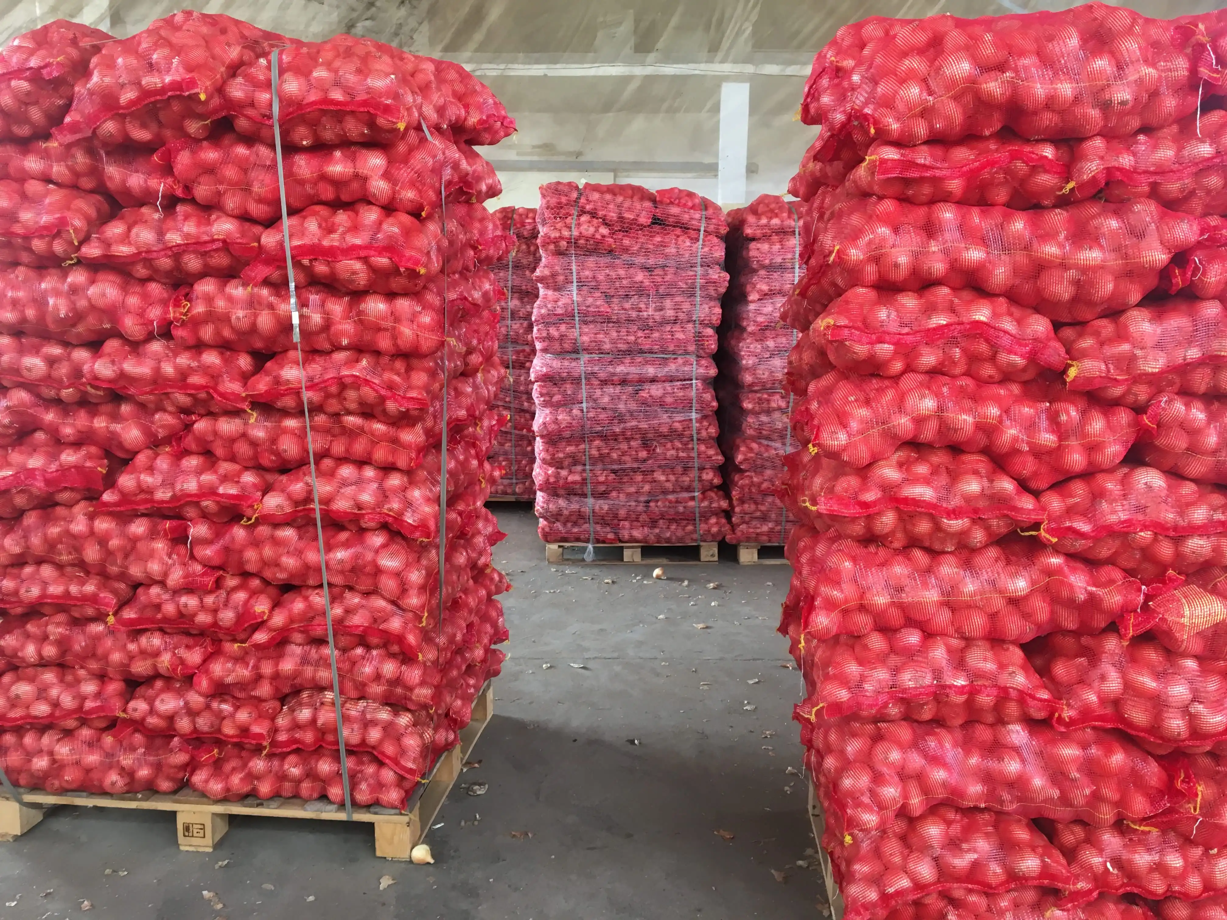 
Fresh Onion In Bulk Cheap Red/Yellow Onions For Sale 