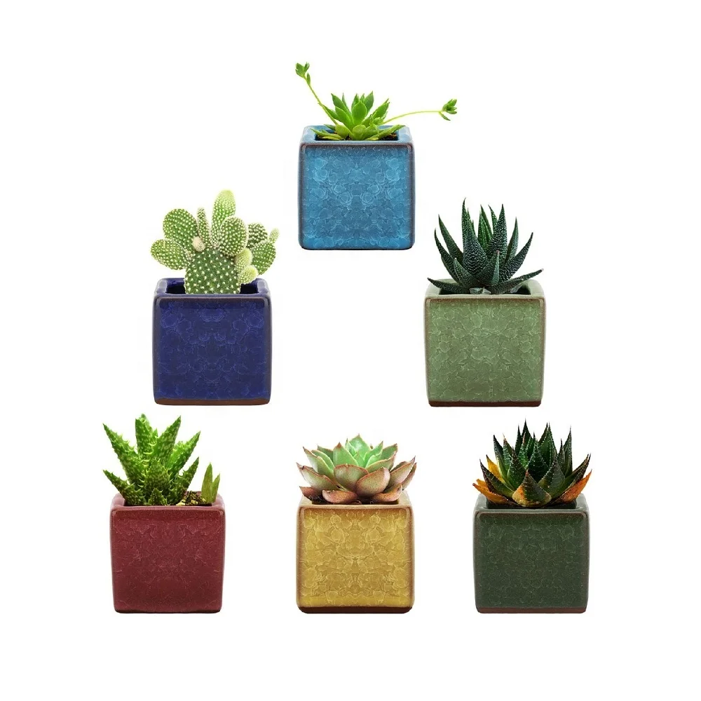 

[6-Pack] 2.5 Inch Square Ceramic Plant Pot Flower Bonsai Pot Planter Container Set for Home/Office