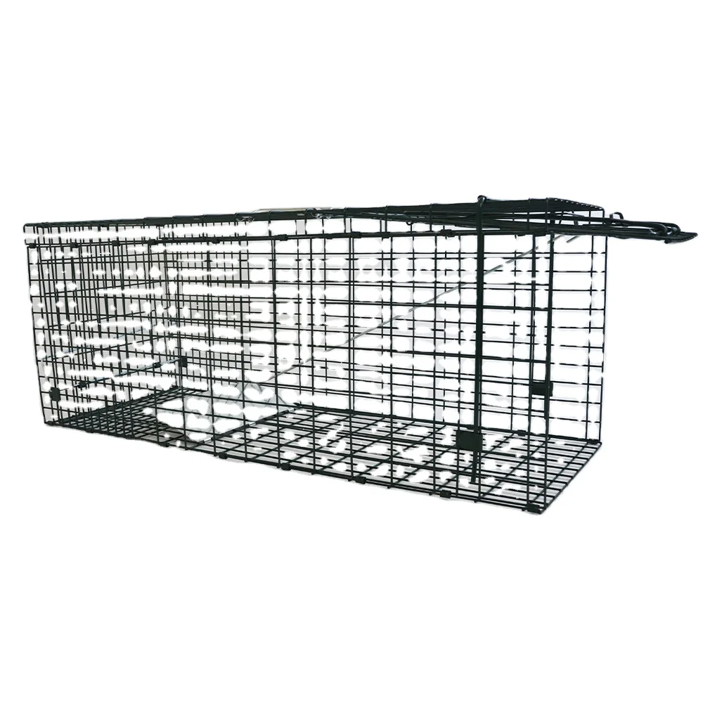 

flying squirrel rat traps for squirrel