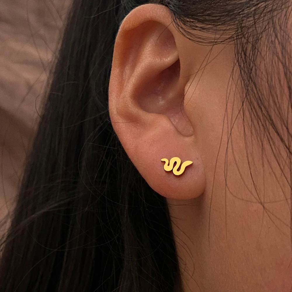 

Stainless Steel Earrings 2022 Trend Gothic Snake Animal Fashion Stud Earrings For Women Jewelry Party Friends Wedding Best Gift