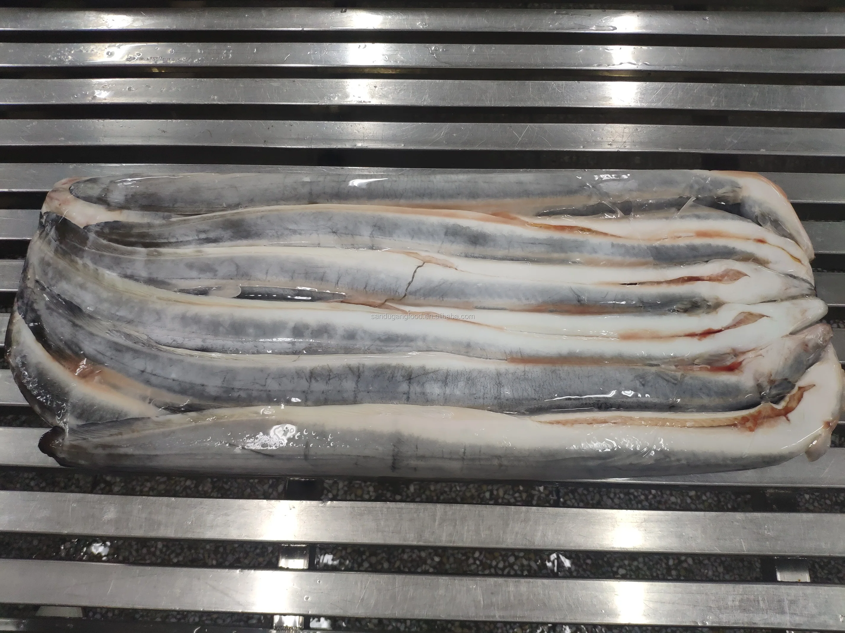 活鳗,冷冻鳗鱼鳗鱼鱼原料鳗鱼鱼买家