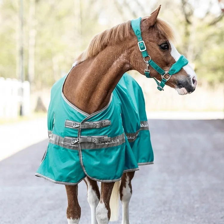 

Wholesale Horse Pony Fleece Rugs from China Supplies