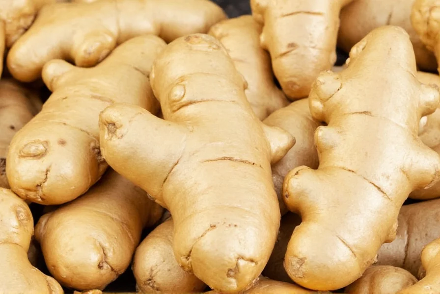where to plant ginger