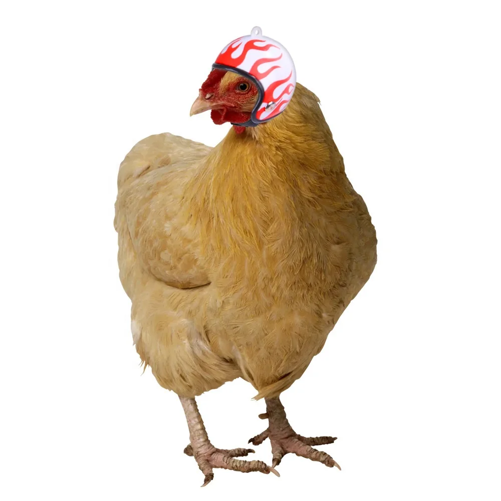 

New Design Cute Pet Accessories Headgear Hat Funny Chicken Bird Decorative Pet Helmet Chicken Helmet, As picture shows
