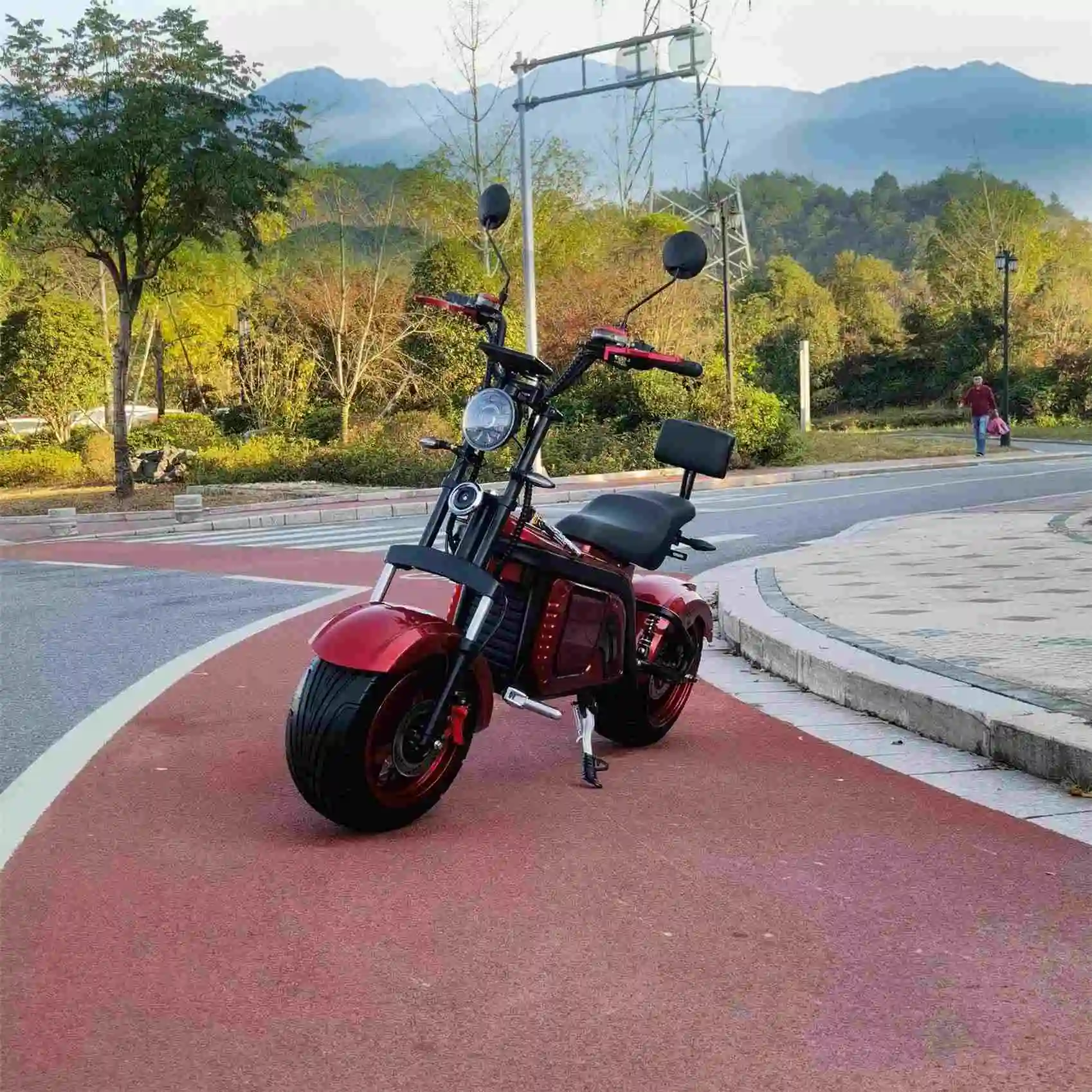 

European Warehouse Electric Motorcycle For Adults 2000W Citycoco Powerful Electric Scooter