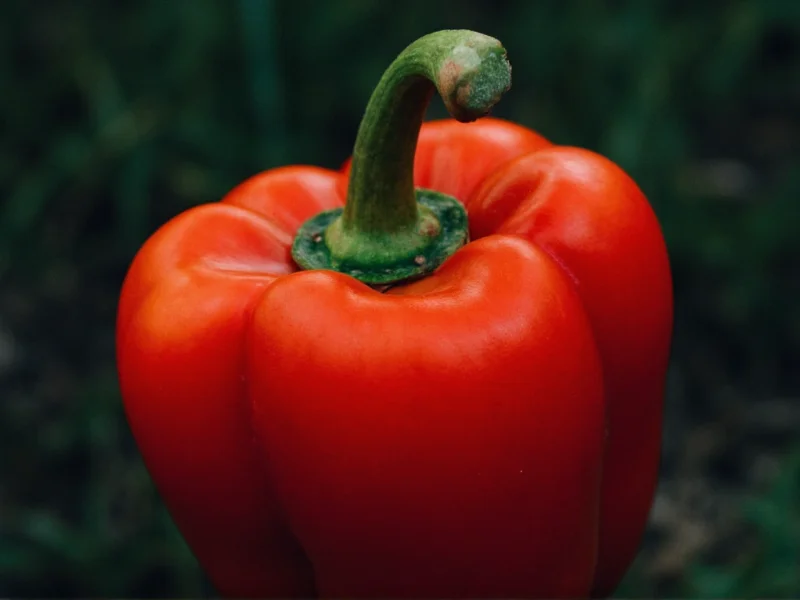 where do ghost peppers come from