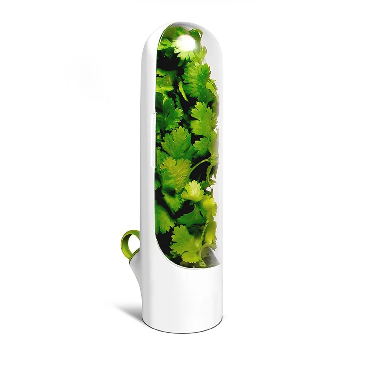 

New style herb keeper fresh herb keeper storage vegetable container fresh herb saver, White+transparent+green
