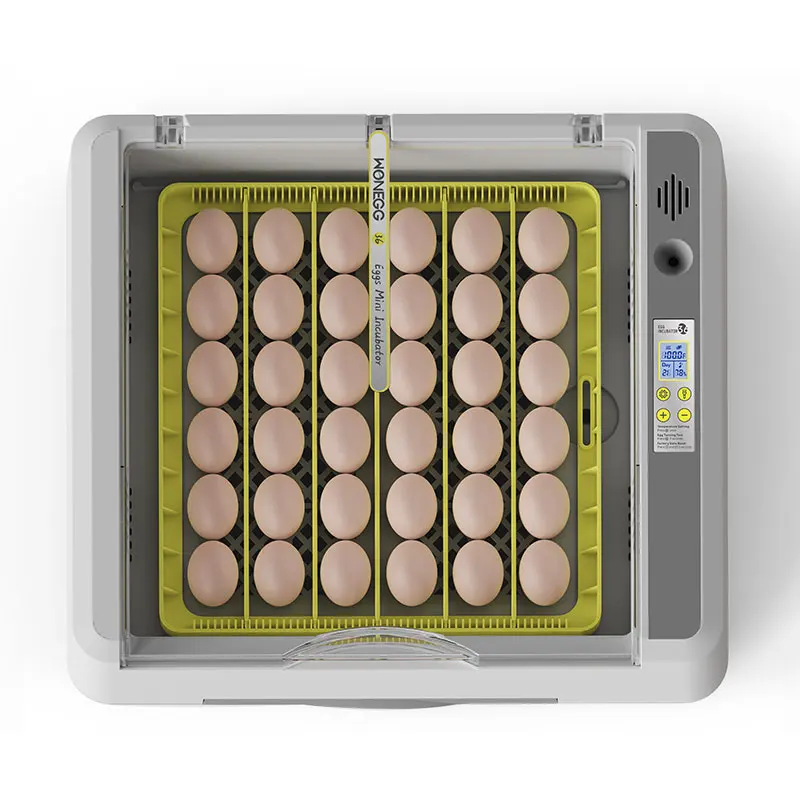 WONEGG 2023 New Mini  YZ- 36 Eggs Incubator Hatching Eggs With High Quali And High Hatching Rate