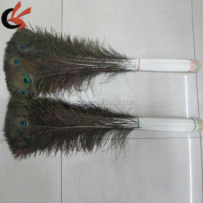 natural peacock feathers .jpg
