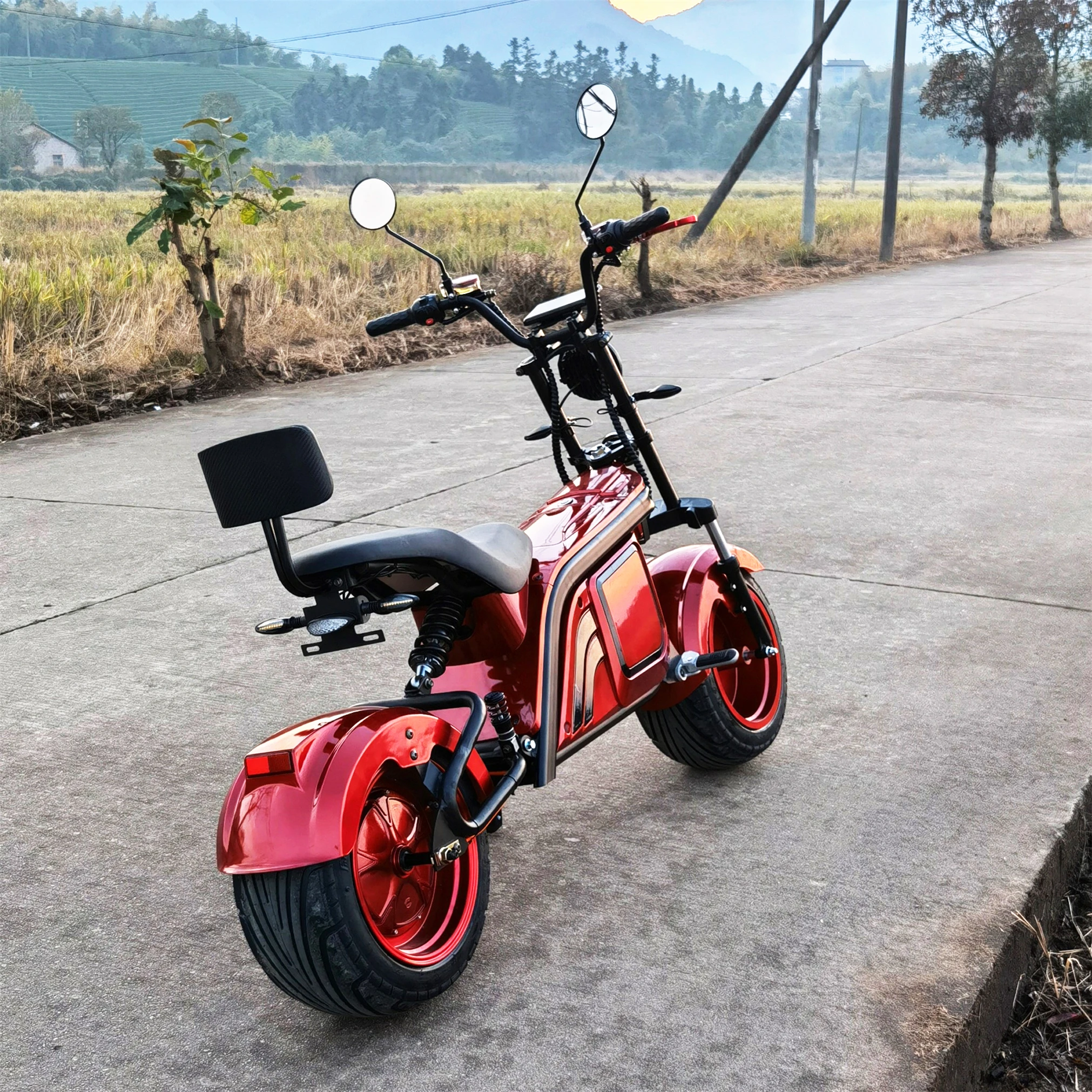 

Mini Mobility EEC COC Road Legal Factory Electric Citycoco Foldable With Seat For Adults