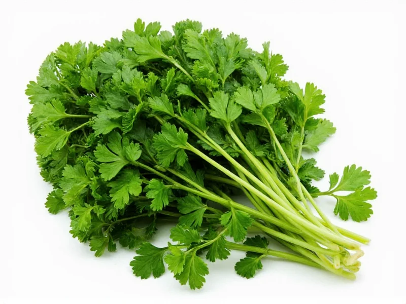 1/4 Cup Fresh Parsley to Dried: Exact Conversion
