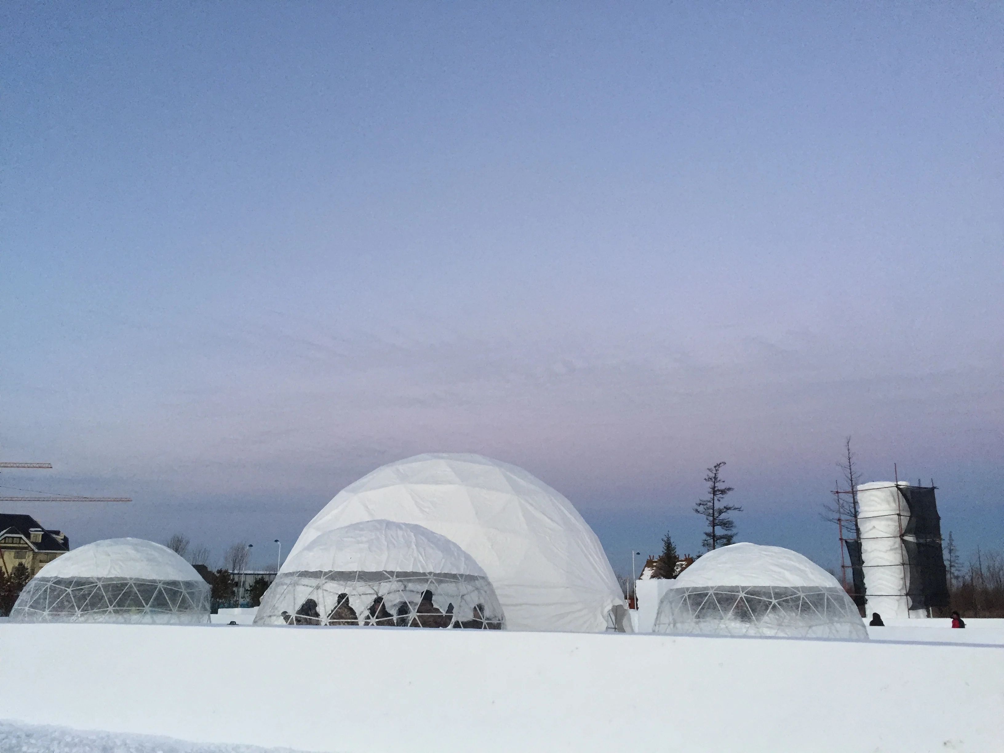 
Factory directly igloo transparent inflatable igloo transparent spherical tent luxury glass geodesic dome tent 