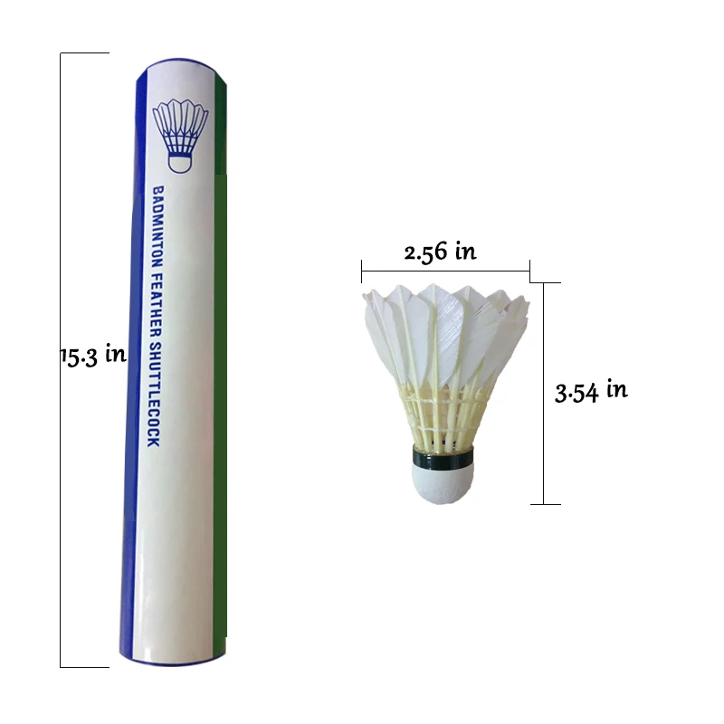 Shuttlecock size.jpg