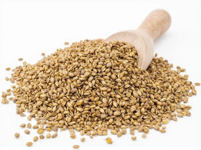 Best Alternatives to Caraway Seeds: Practical Substitutes