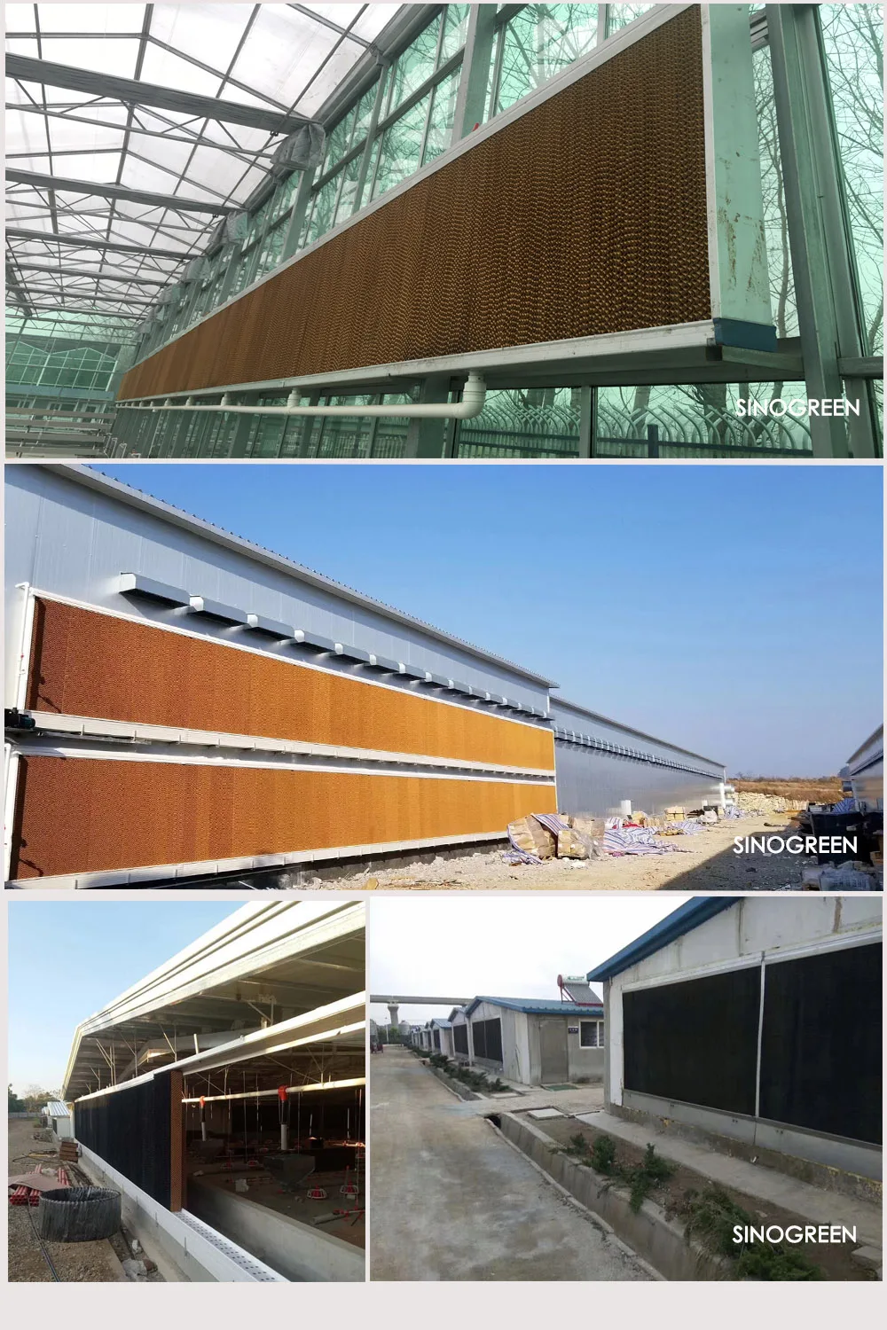 successful case 2.jpg