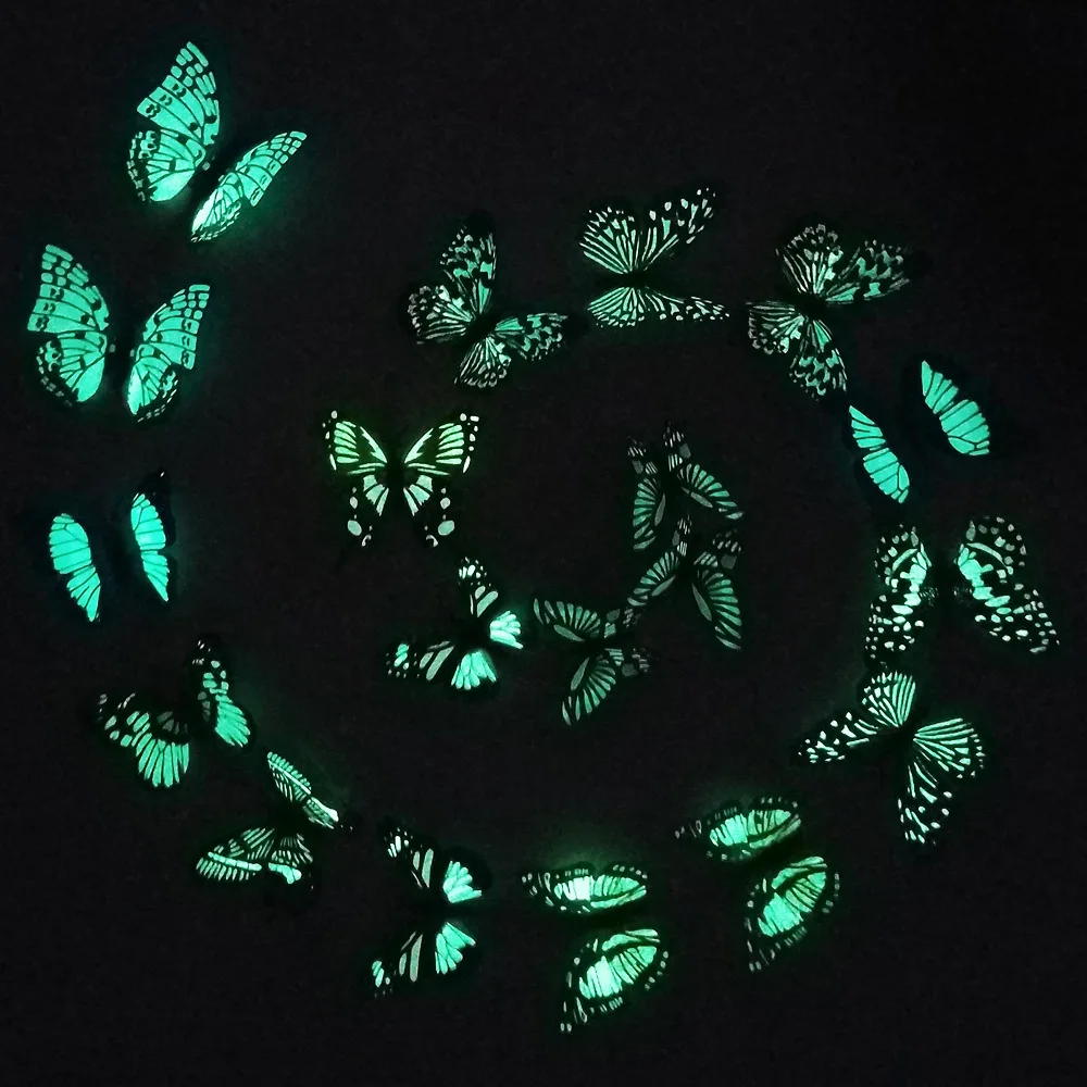 butterfly (2).jpg