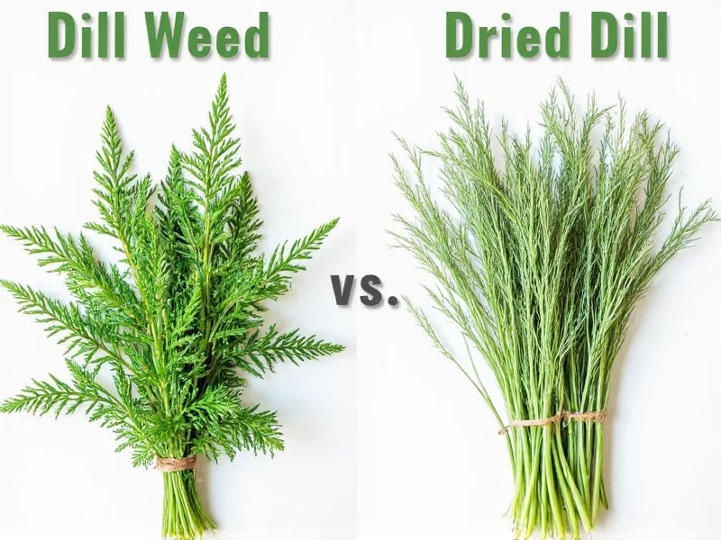 Dill Weed vs Dried Dill: Same Product Explained