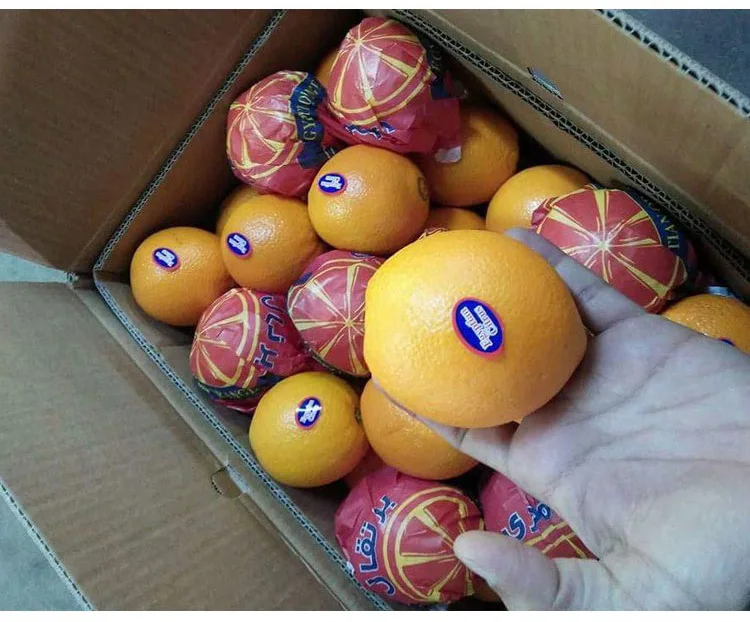 Oranges Fresh Mandarin Orange For Sale Orange Oranges Fresh Orange ...