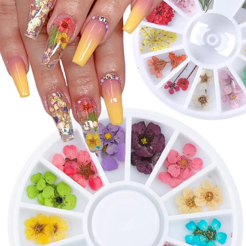 

1 Box 3D Dried Flower Nail Decoration Natural Floral Sticker Mixed Dry Flower 3D Nail Art Designs