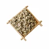 Arabica variety high altitude Superior Quality unroasted green coffee beans