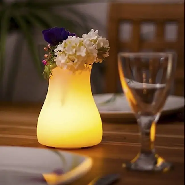 

illumination Remote Control 16-Color Glowing flower pot LED Table Light Vase, 16 colors changing