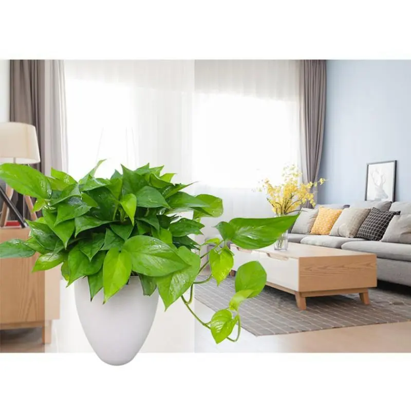 

Activity Wall Hanging Plant Pots Indoor Flower Small Matte Mini Pot Flower "