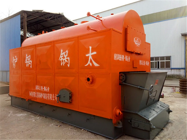 DZL steam boiler (9).jpg