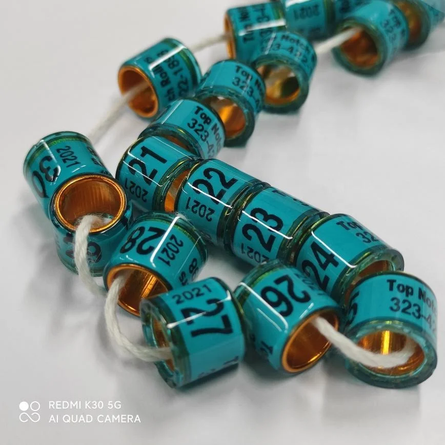 

Pigeon foot rings 2021 bird loft favorite leg bands customized homer ID plate personalized rings for pigeon racing, Free