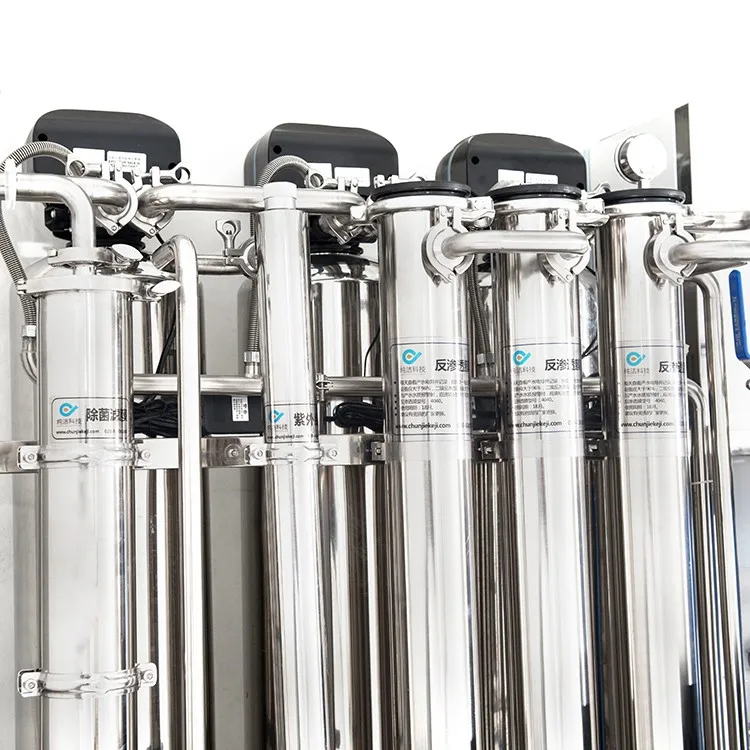 1500lph Purified Water Deionized Edi Water Equipment Ro Water