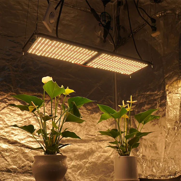 Newest 2020 Meijiu Cheap 240W FOLUX 301b Mix 660nm Full Spectrum Board 3000k Replace Cob Led Grow Light