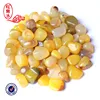 HJT wholesale natural Copper Rutilated crystal healing stones