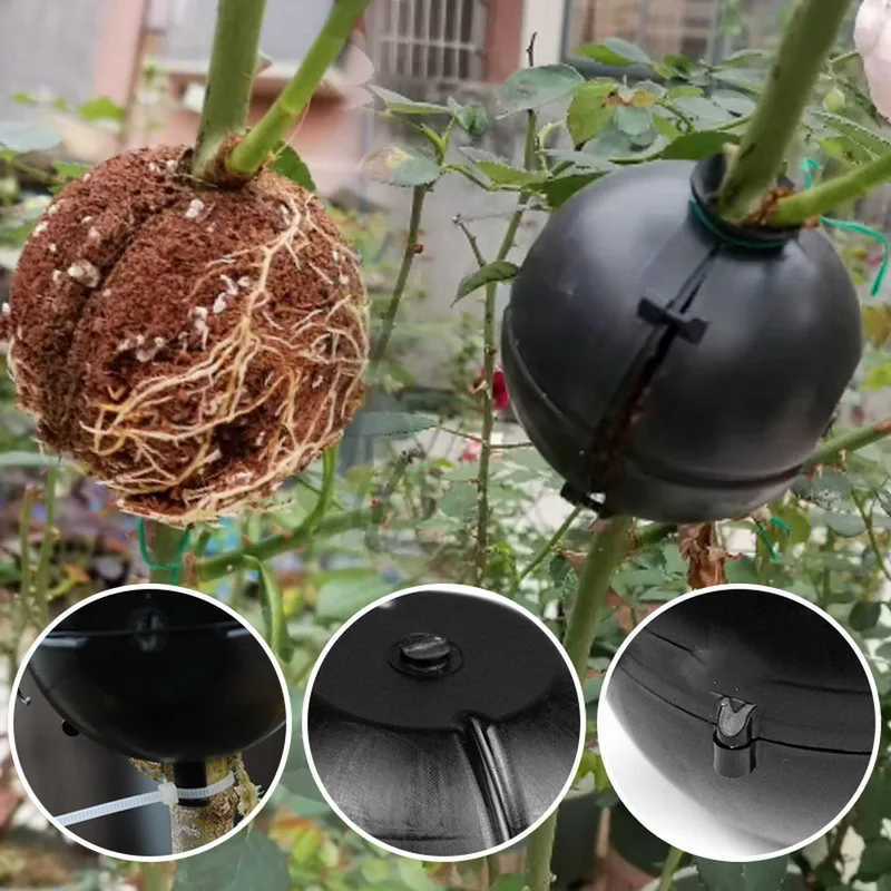 

2021 new Plant Rooting Device High Pressure Grafting Propagation Ball Boxes Growing Breeding Case Gardening Supplies Dropship, Black